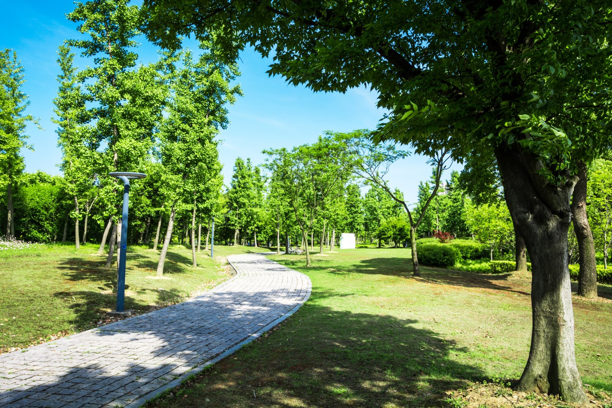 Parque urbano con senderos y vegetación